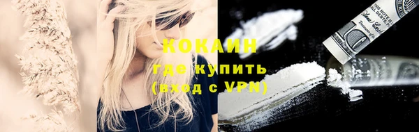 дживик Абинск
