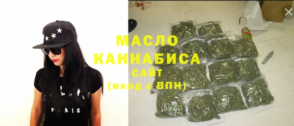 сатива Няндома