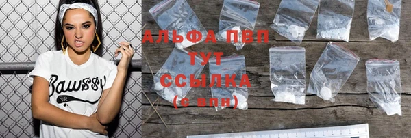 сатива Няндома