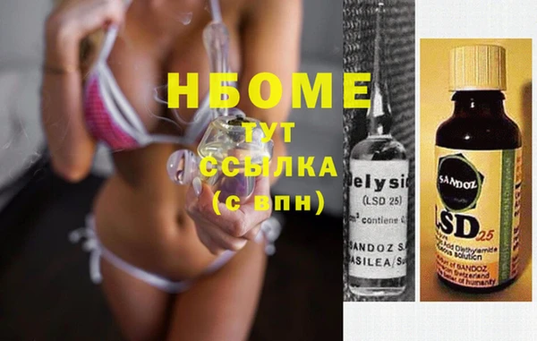сатива Няндома