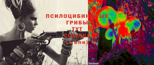 дживик Абинск